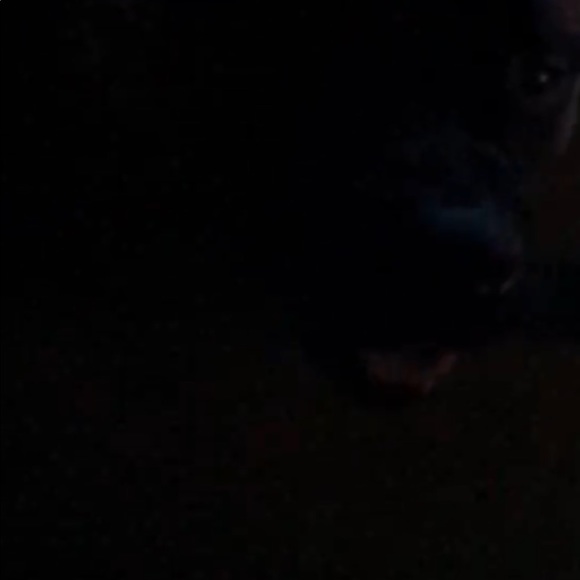 Meet your Posher, Kristyn - Picture 1 of 1